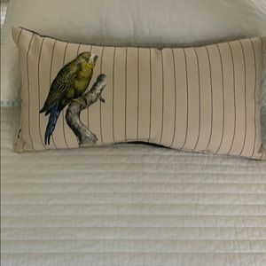 Outdoor/indoor Parakeet pillow